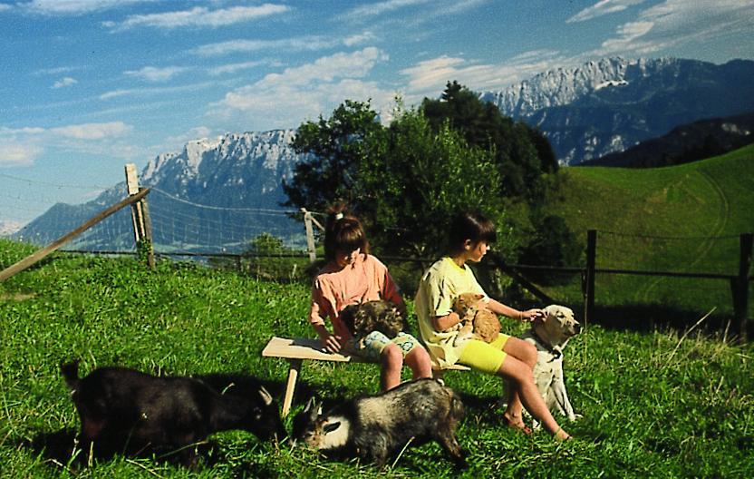 Berggasthof Bichlersee Oberaudorf Luaran gambar